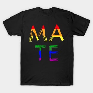 Soul Mate Puzzle Couple  LGBT Pride Gay Les T-Shirt